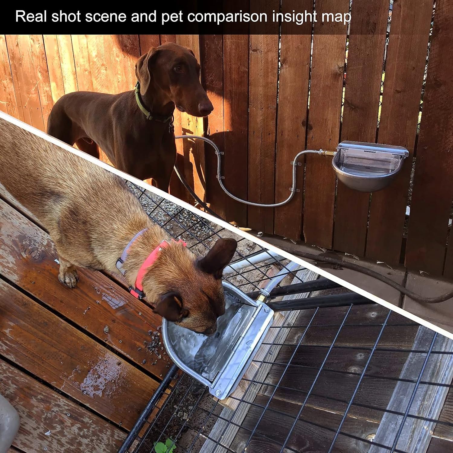 CPROSP Automatic Waterer for Livestock Stainless Steel with Float Valve, Horse Bowl with G1/2‘’ Male Connector, 2 X M10 Screw Set : Pet Supplies