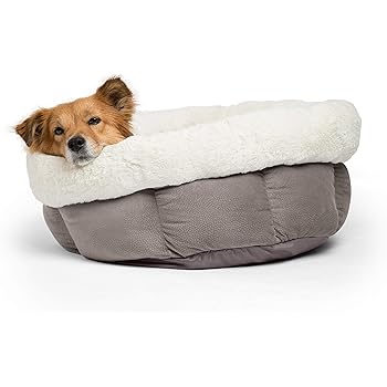 wirecutter best dog harness