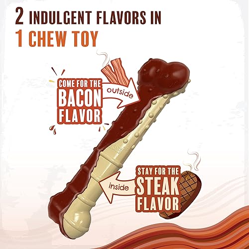 Vista 67 de Nylabone Flavor Frenzy Power Chew - Juguete masticable para perros sabor carne seca, tamaño pequeño/regular, 1 pieza