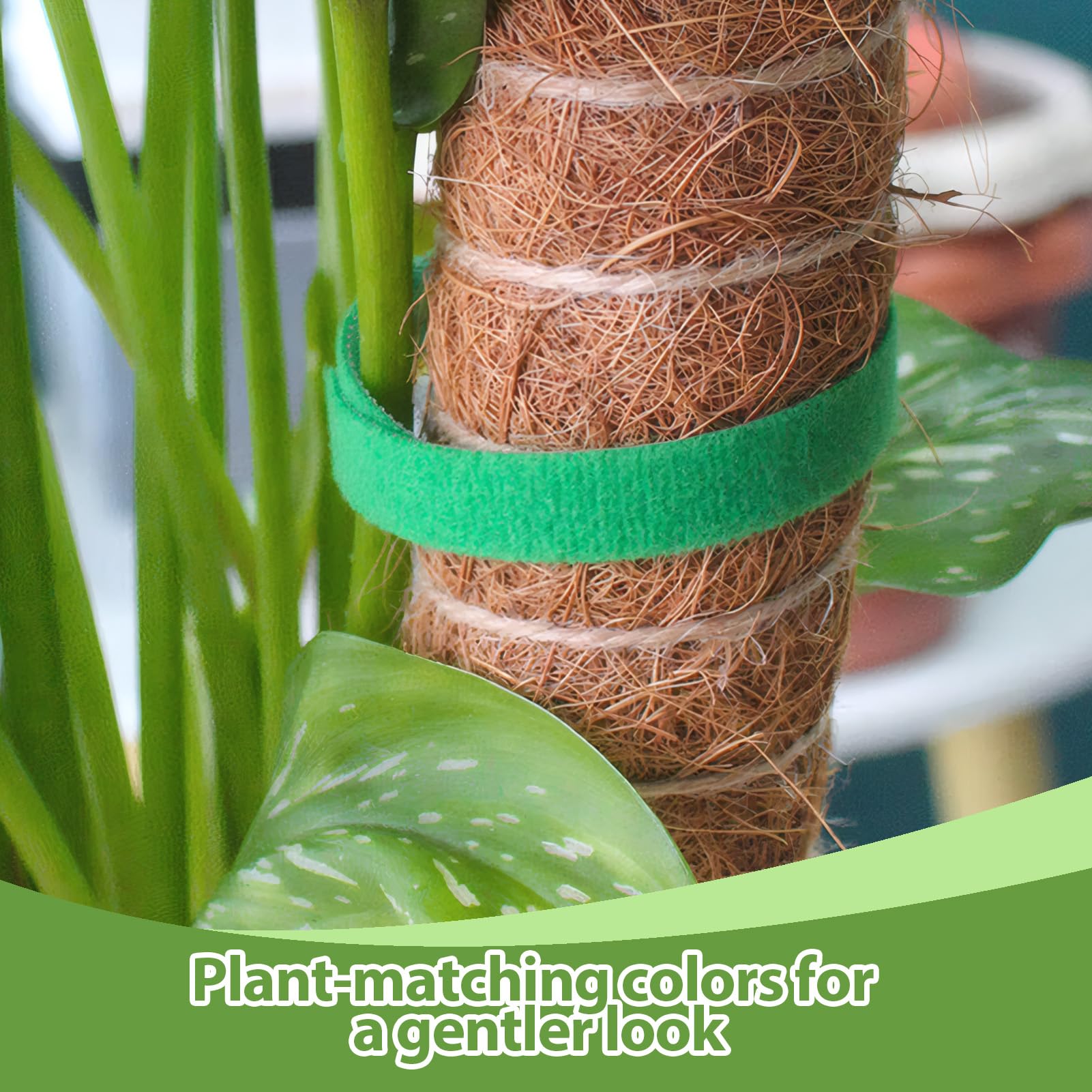 2PCS 15 m 15m Brida para Plantas Cinta,10mm Cinta para Plantas autoadhesiva,Cinta para Plantas de Exterior Reutilizable,Ideal para Fijación Planta Corbatas Cinta,Jardinería Cinta,Frutas y Flores