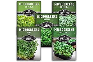 Survival Garden Seeds Microgreens 5 Pack: Grow Arugula, Broccoli, Radish, Pea, Sunflower...