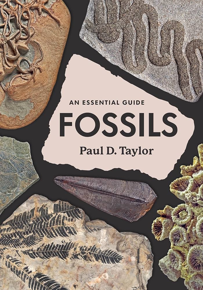 FOSSILS　THE KEY TO THE PAST　化石　FOSSIL Fossils: The Key to the Past: Fortey, Richard: 9781501700538