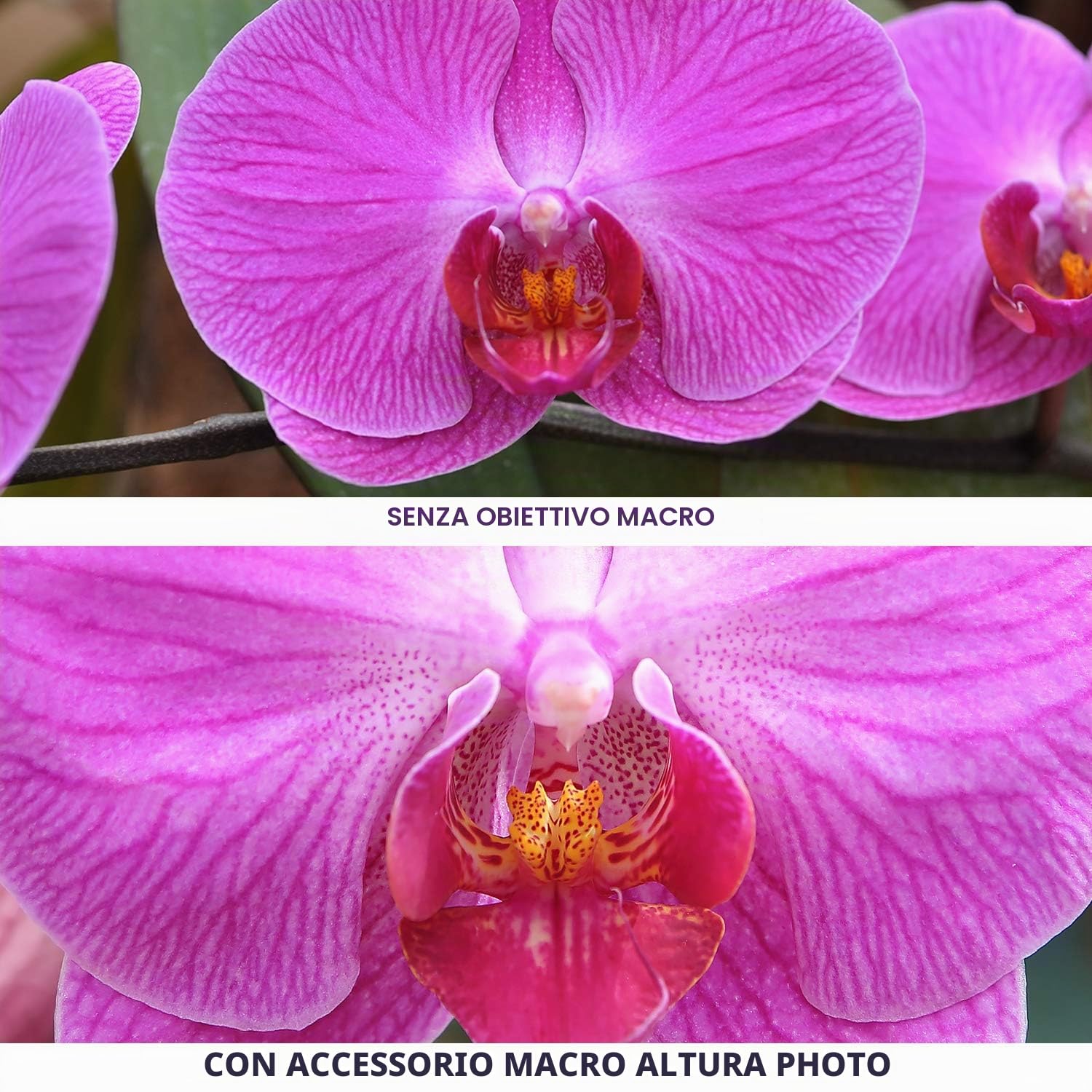 Altura Photo Obiettivo grandangolare HD 0,43x 55 mm con macro, attacco su filetto filtro da 55 mm (non sul corpo macchina), per fotocamere Nikon DX NIKKOR 18-55mm f/3.5-5.6G VR e mirrorless Sony E