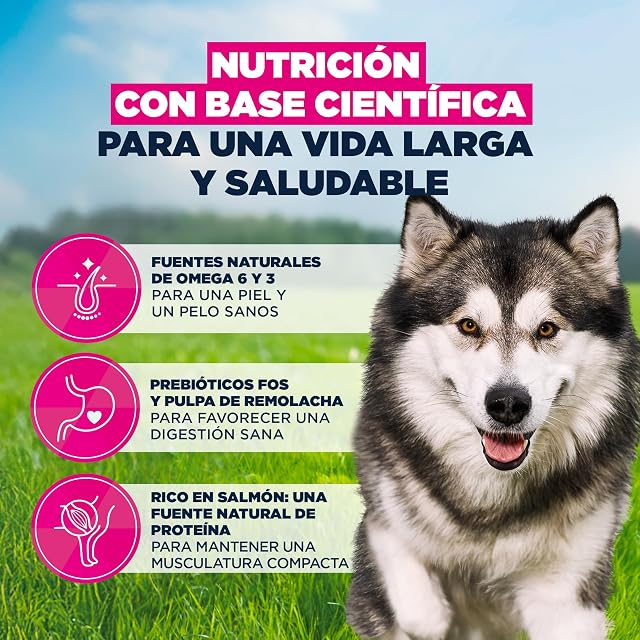 Foto 5 de 8 de EUKANUBA Alimento Seco para Perros Adultos de Razas Grandes, Salmón, 12kg