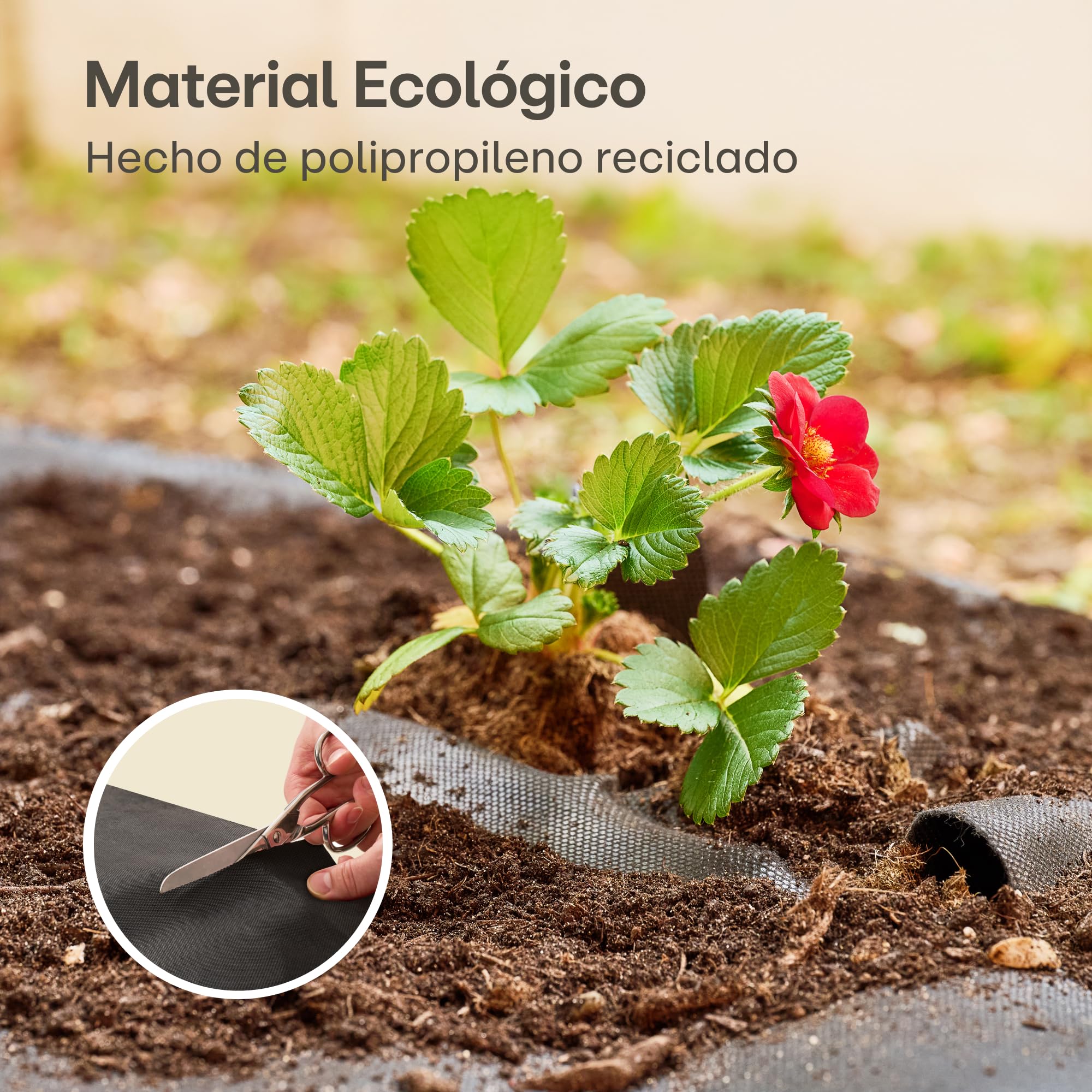 Praknu Malla Antihierbas Huerto - Tela 100g/m2-50m2 en Rollo - con 24 Grapas de Sujeción - Permeable & Resistente - Estable Ante UV - para Jardin - Negro