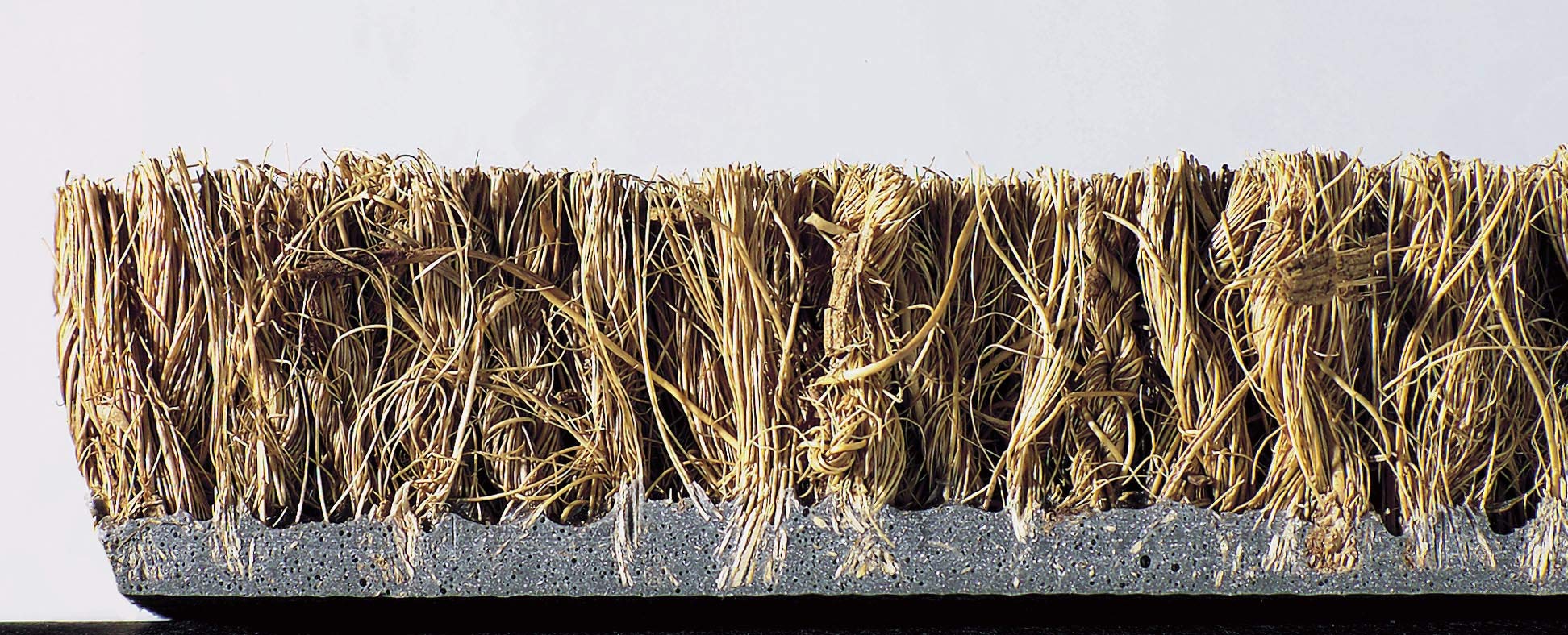 Hamat Coco Tapis d'entrée, Paillasson, 50 x 80, 1451506000