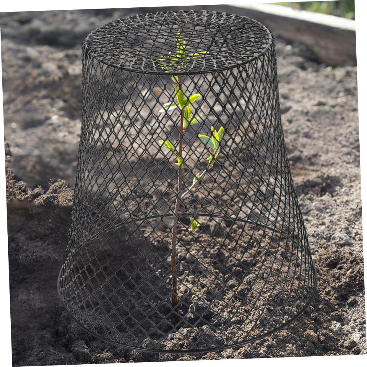 2sets Plant Netting Plant Protection Cage Garden Cages to Keep Rabbits Out Outdoor Covers Wire Protector for Strawberry