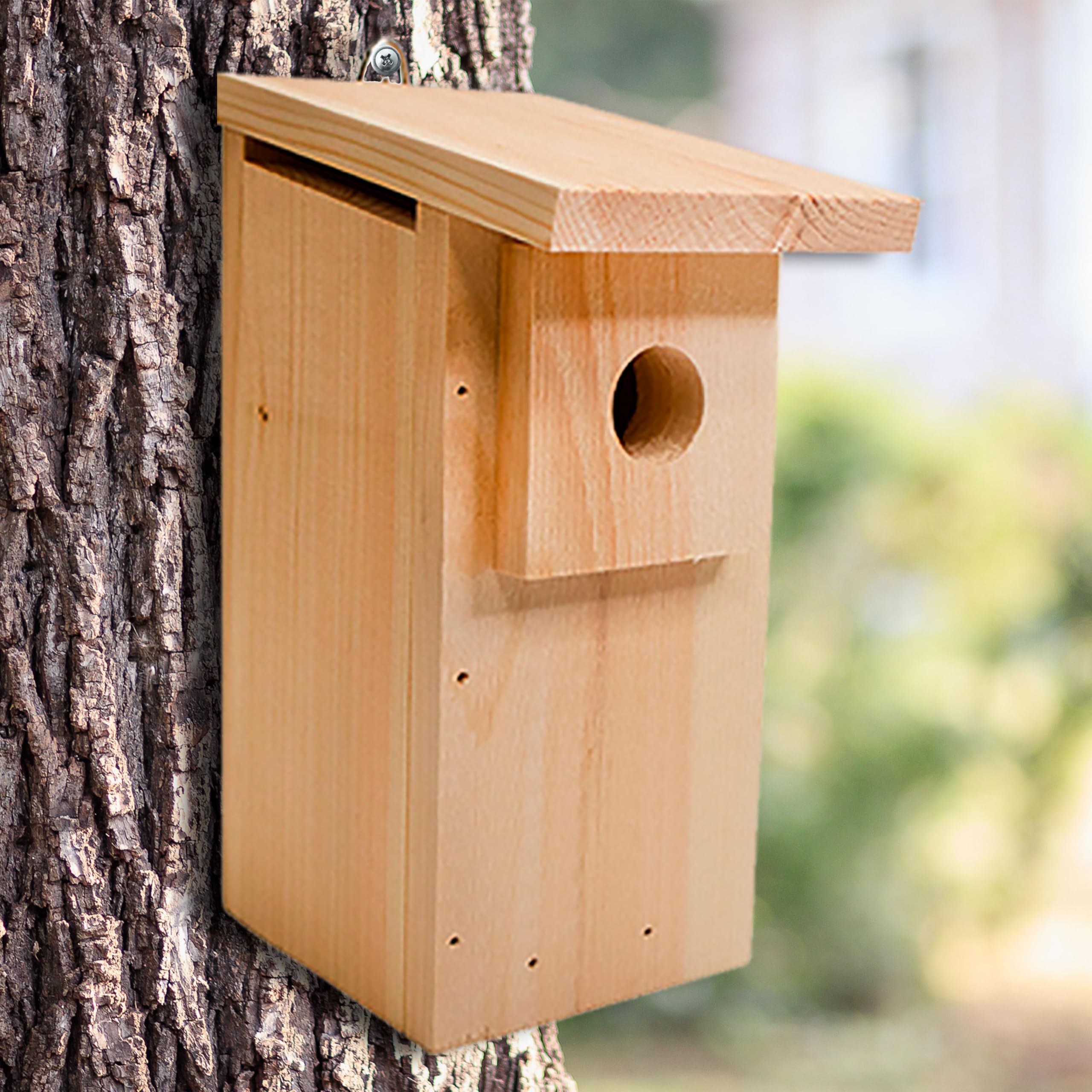 Eastern Bluebird House Kit
