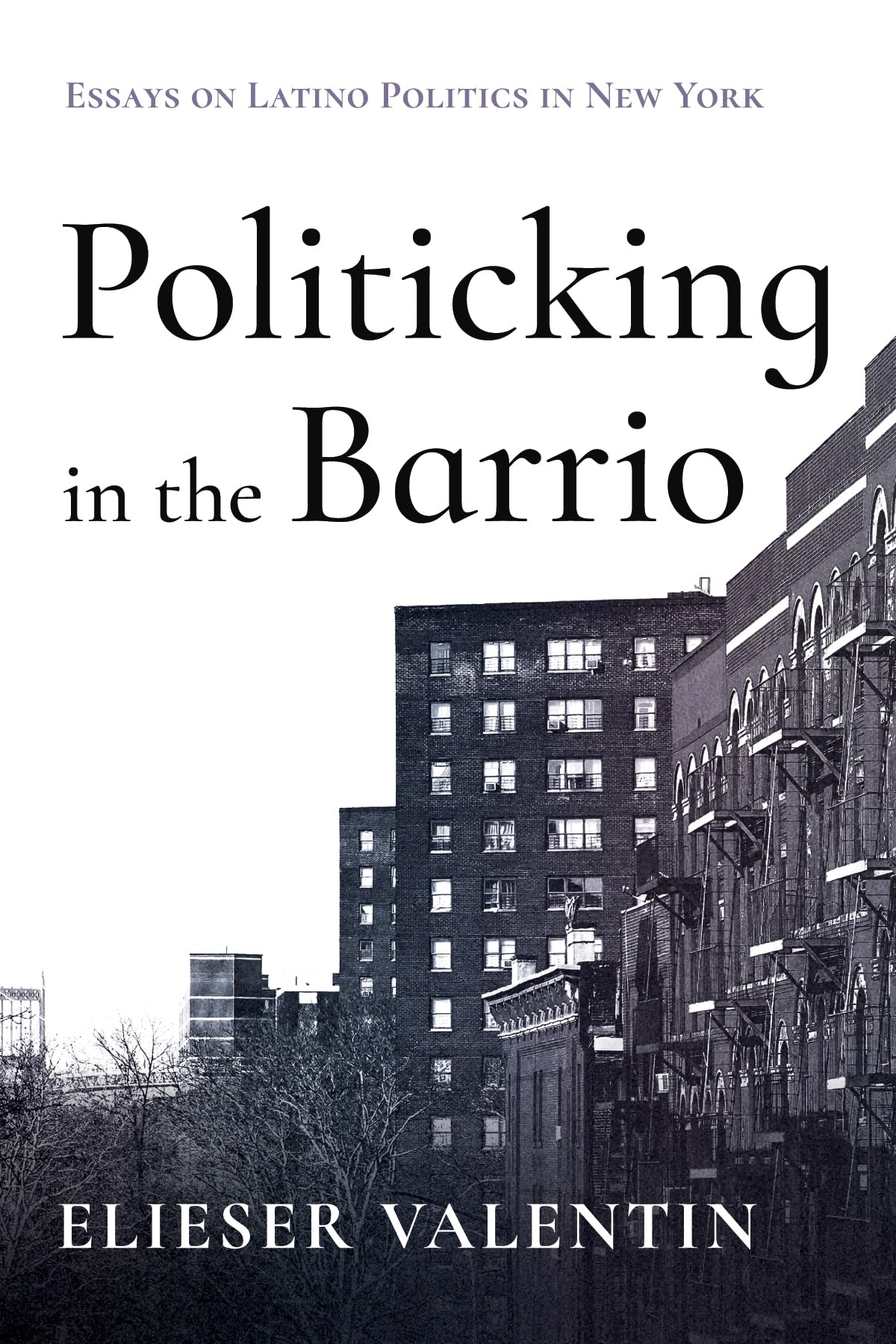 Politicking in the Barrio: Essays on Latino Politics in New York