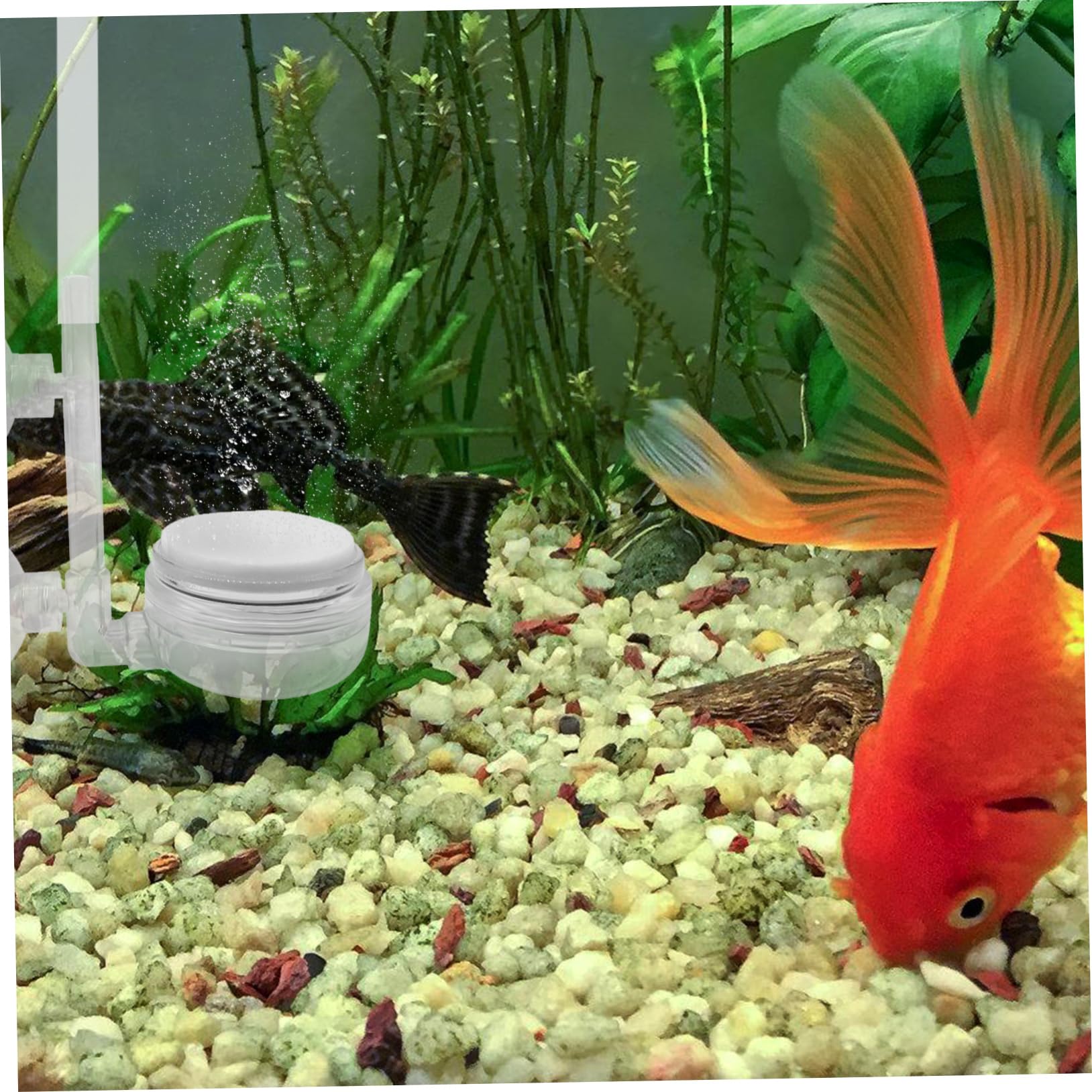 HANABASS 25piezas Difusor De para Acuario De Base Redonda Compatible Accesorios para Aireación Peceras y Acuarios
