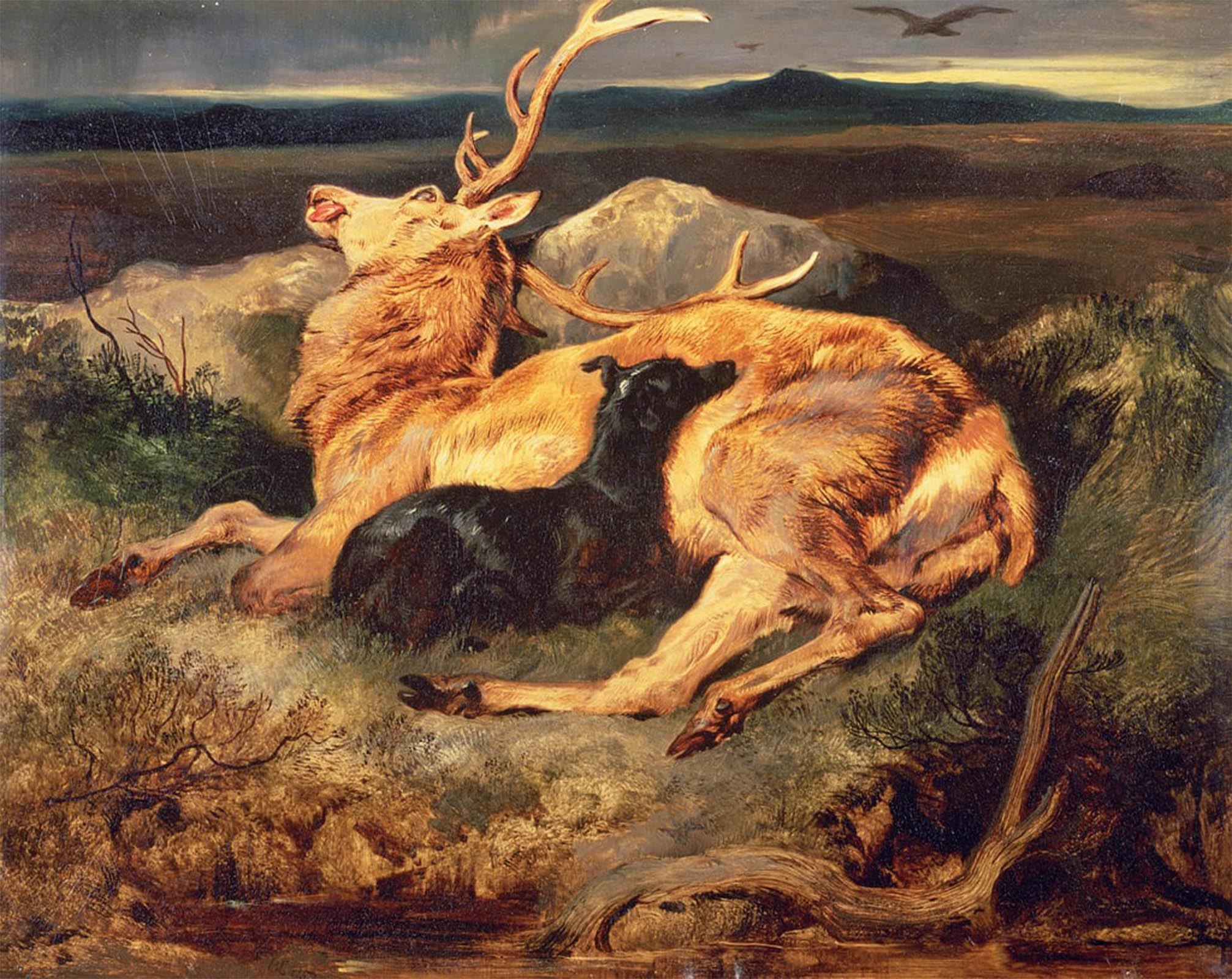 SERENDIPITP Aesthetic Poster Photo Wall Print Retro Picture Stag by Edwin Landseer Modern Wall Artwork for Home Decor 60x90cm