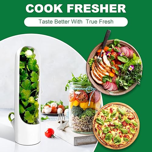 Miniatura 2 de Pilipane Herb Keeper, Herb Savor Refrigerador Fiambrera, Contenedor de Almacenamiento de Hierbas Conservador para Cilantro, Menta, Perejil,