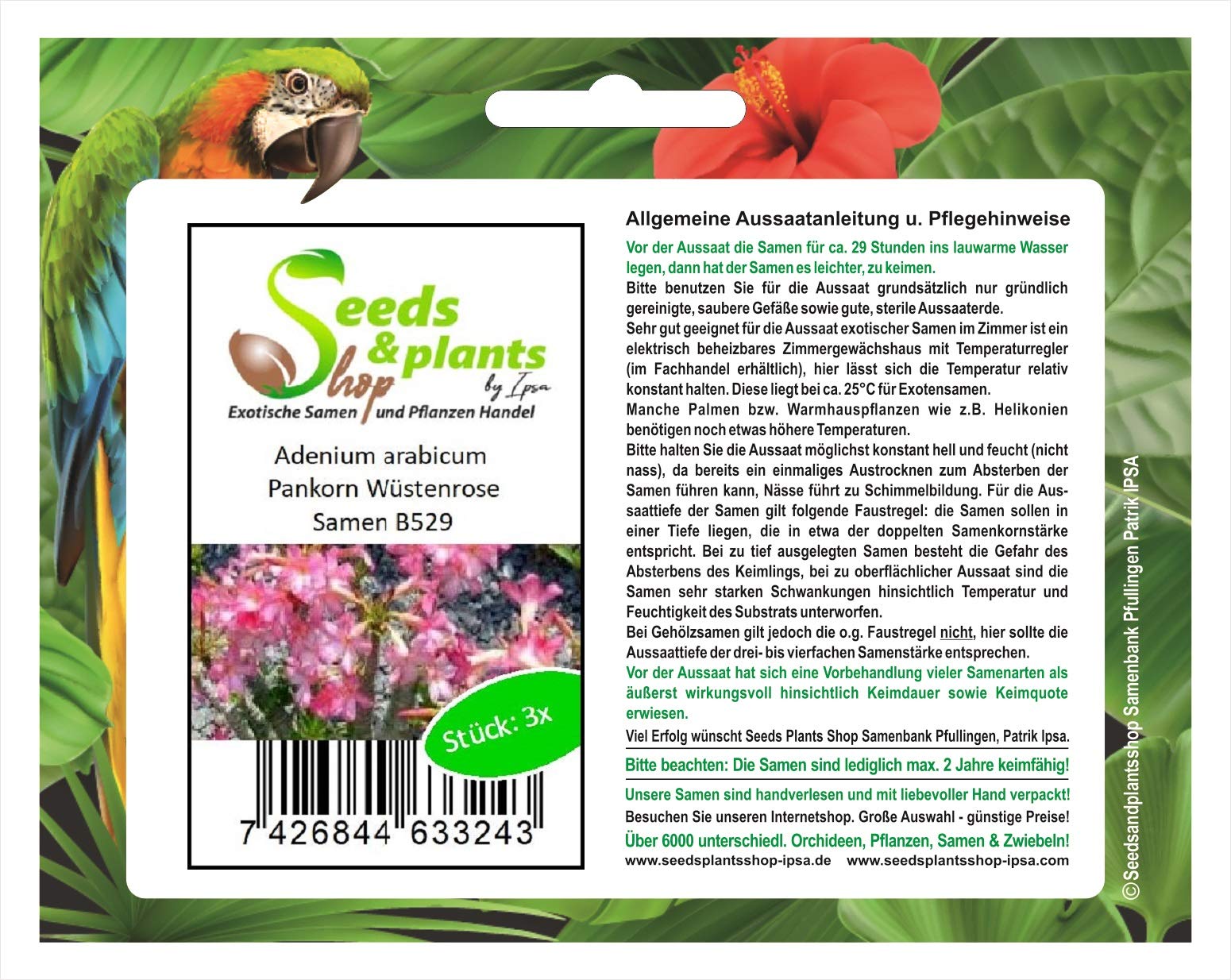 Pcs - 3X Adenium Arabic Pankorn Desert Rose Garden Plants - Seeds B529 & Plants Shop by Ipsa