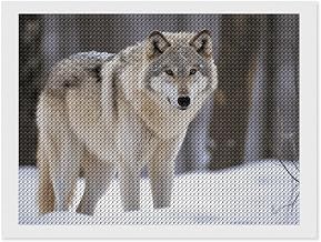 GHBNK Wolf in The Snow Diamond Painting Kit, DIY Round Diamond Painting Home Decor, Canvas Art Creative DIY Painting Kit for Stress Relief Art Project (Without Frame) 12"x16"