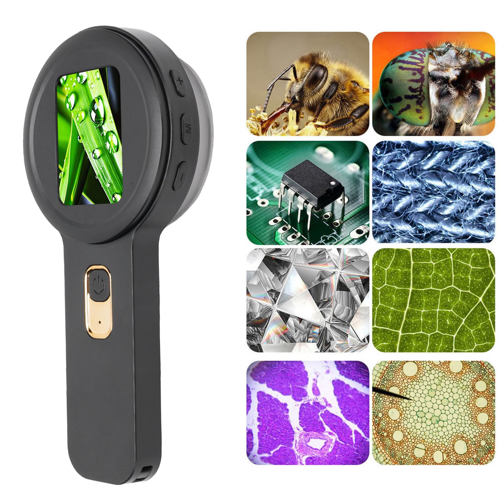 Tragbare Digitale Lupe mit LED-Beleuchtung, 200-fache Vergrößerung, Handheld-Digitalmikroskop mit Dual-Lichtquelle, 2-Zoll-HD-Bildschirm, 4TB-Speichererweiterung (Schwarz)