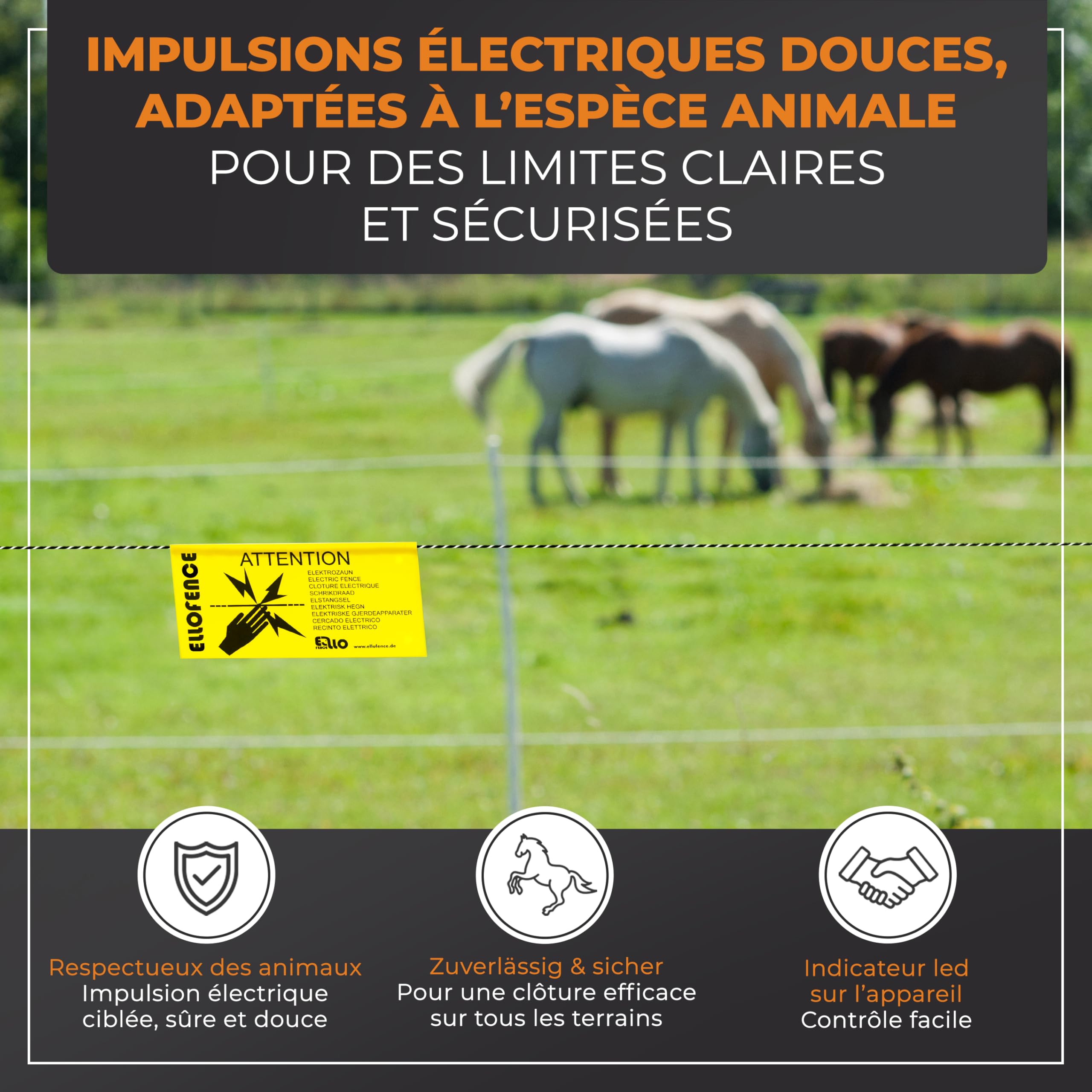 Électrificateur clôture électrique 230 V secteur (M60) – Extra puissant & silencieux – Appareil premium pour animaux domestiques et d’élevage – Avec indicateur de contrôle de clôture