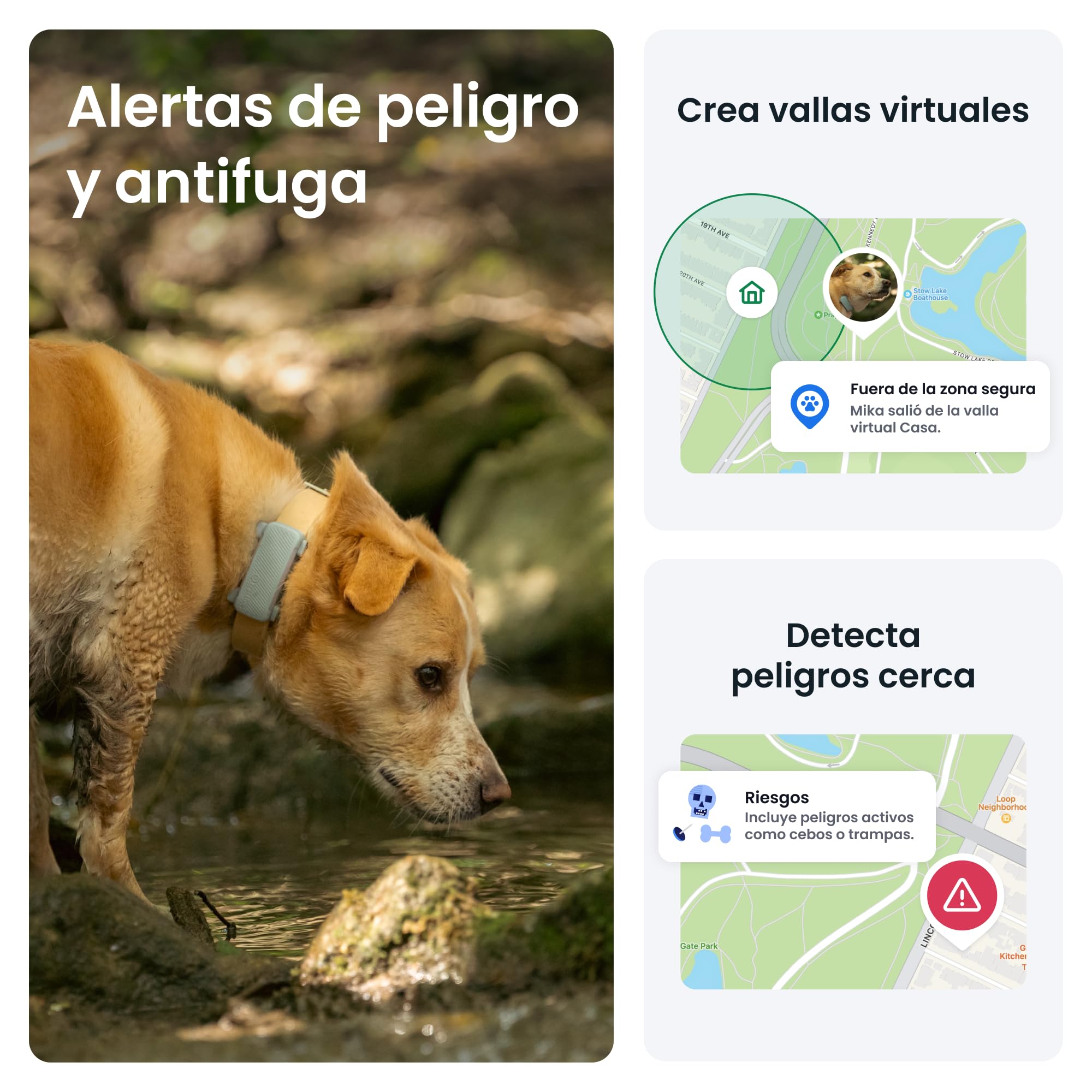 Tractive - GPS perros | 2025 Edición | N.º 1 del mercado | Localización en tiempo real | Alertas antifuga | Monitor de actividad | Avisos de salud | Seguimiento de ladridos (Menta)