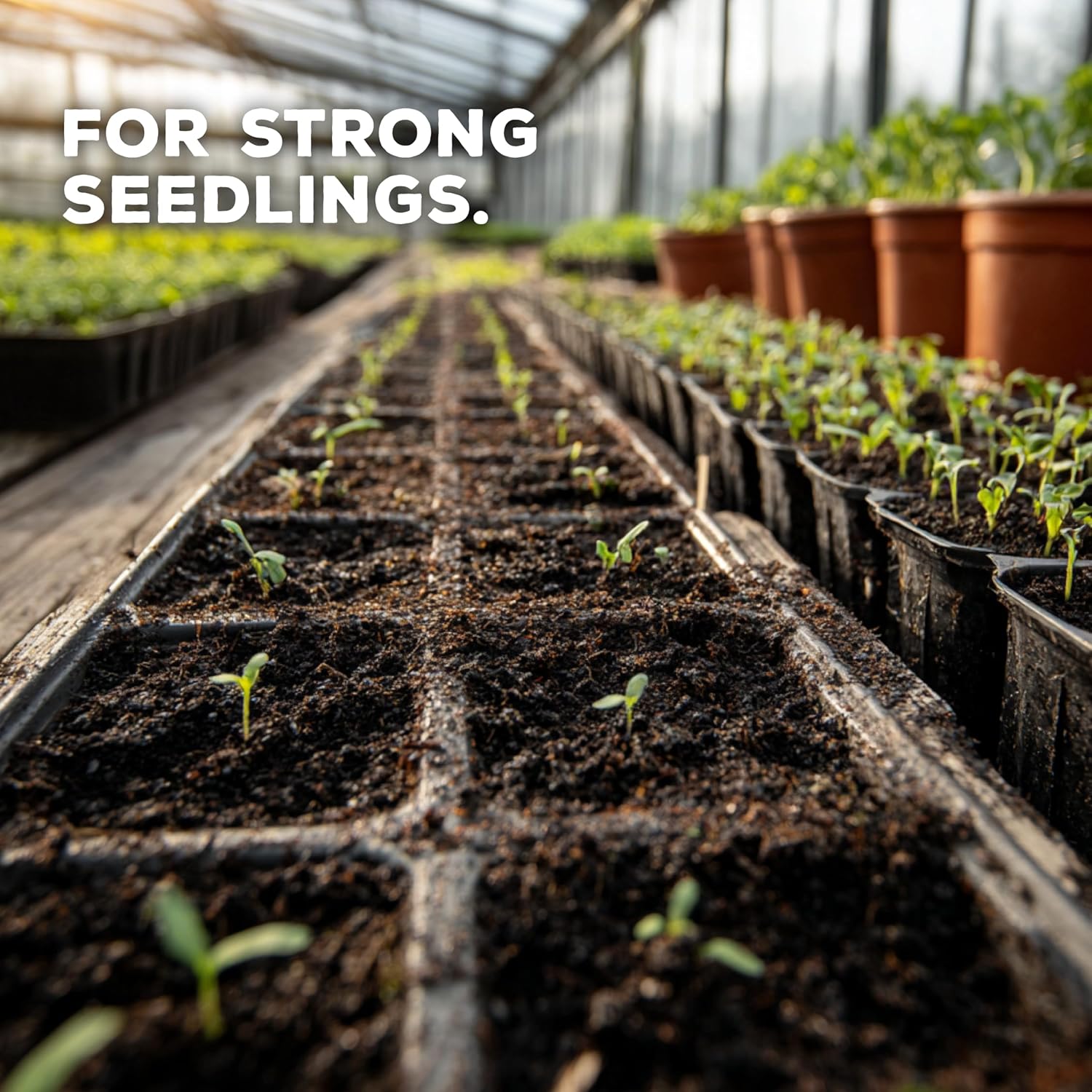 Soil Seed & Water PlugBoost Organic Seed Starter Soil Mix – OMRI Listed Soil for Seeds, Seedlings & Cuttings as a Seed Starter Mix