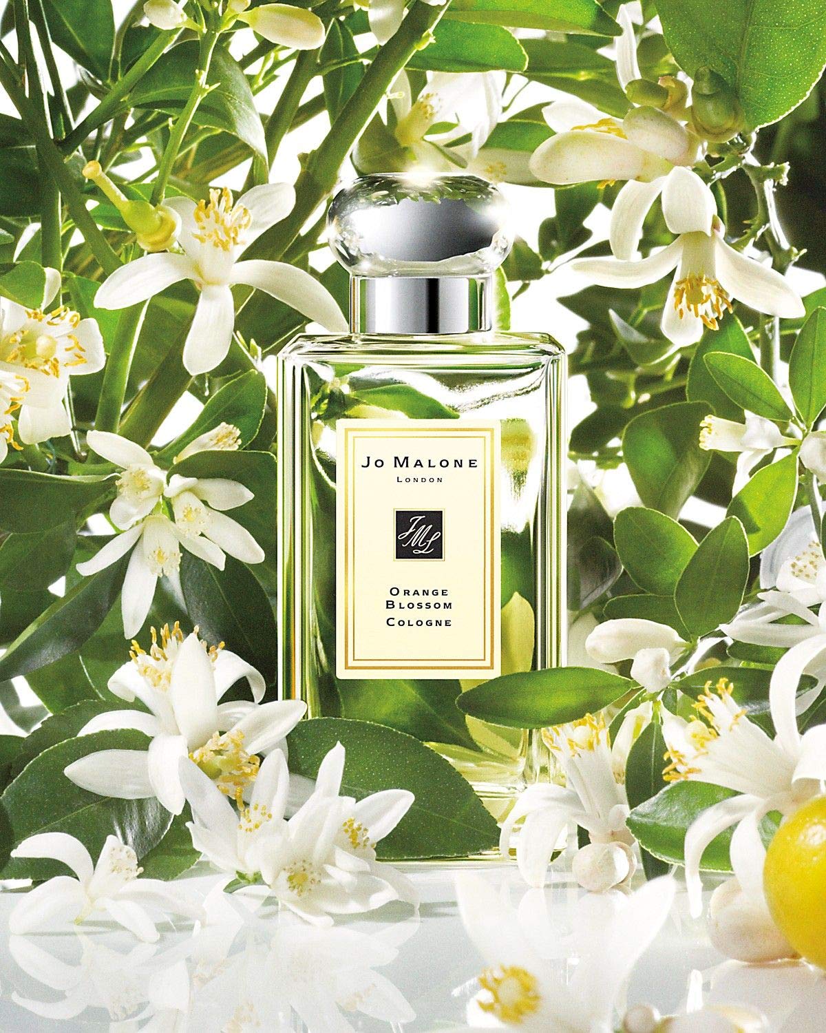 Jo Malone Orange Blossom 30ml ギフトバッグ付き Amazon.com : Jo Malone Orange Blossom Cologne Spray