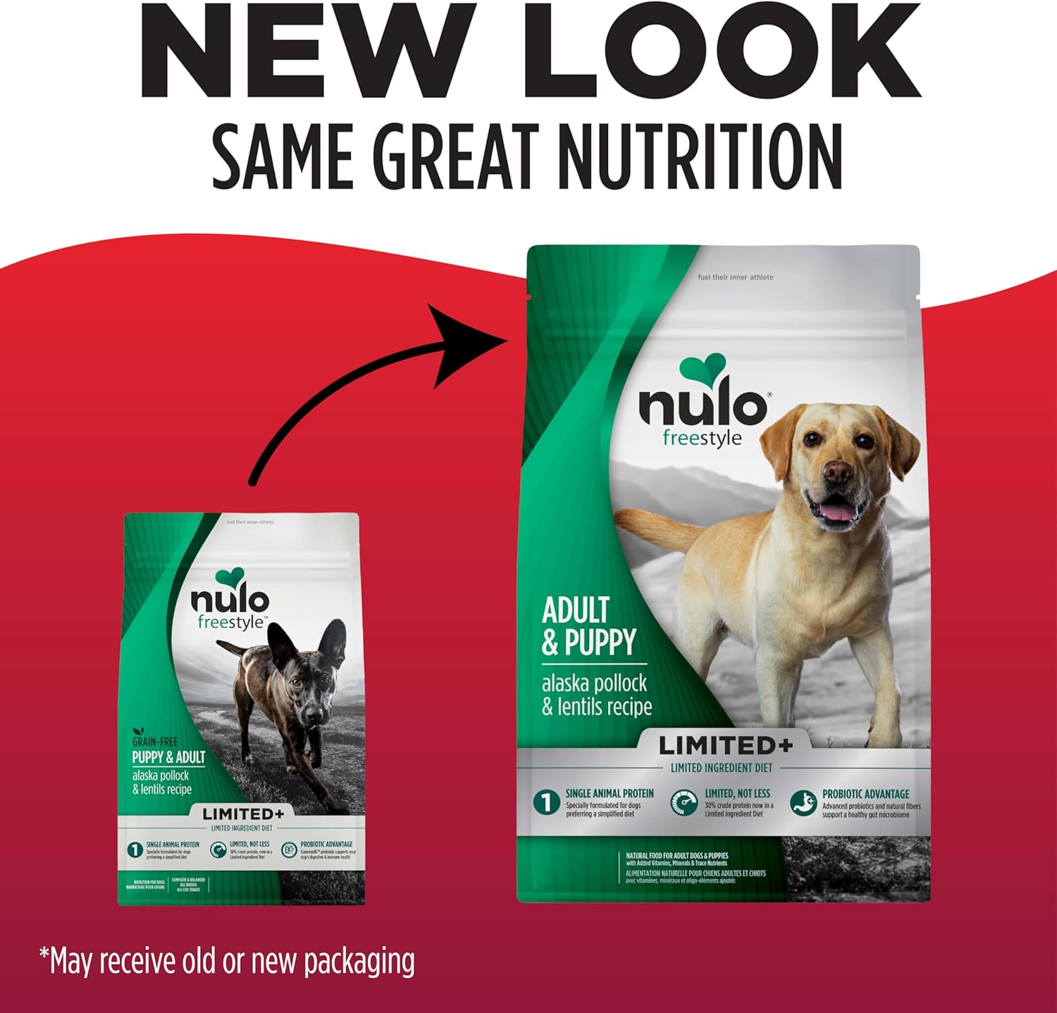 Nulo FreeStyle Limited Ingredient Dry Dog Food - High Protein Alaska Pollock & Lentils Recipe, Natural Grain Free Dog Food for Puppies & Adults, Small, Medium and Large Breed Kibble, 5.5lb Bag