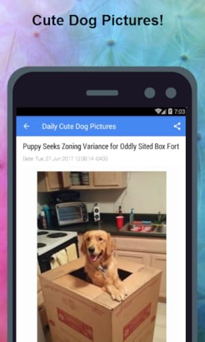 Daily Cute & Funny Dog Pictures