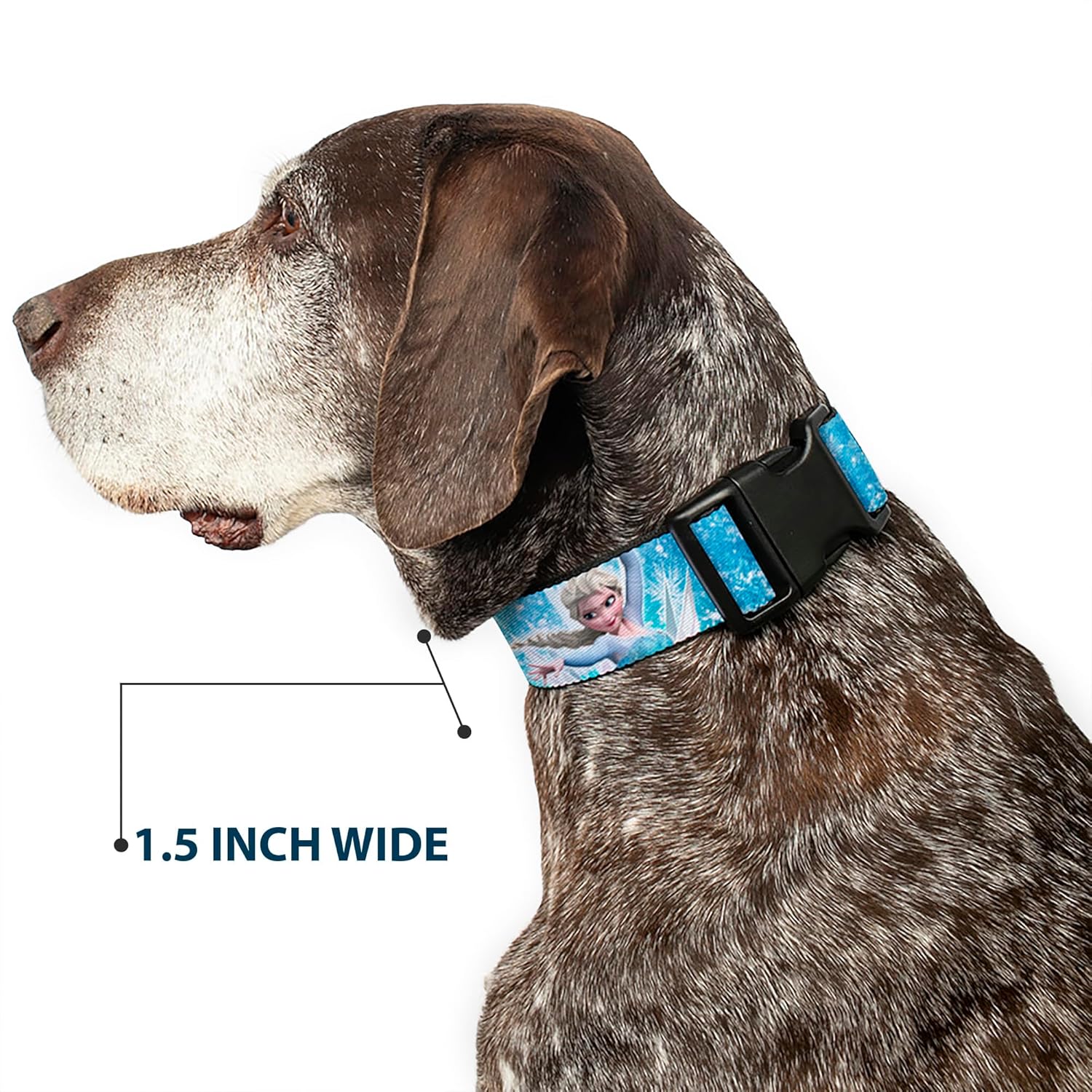 Buckle-Down Plastic Clip Collar - Frozen Elsa Face/Action Pose/Snowflakes Blues/White - 1.5" Wide - Fits 13-18" Neck - Small