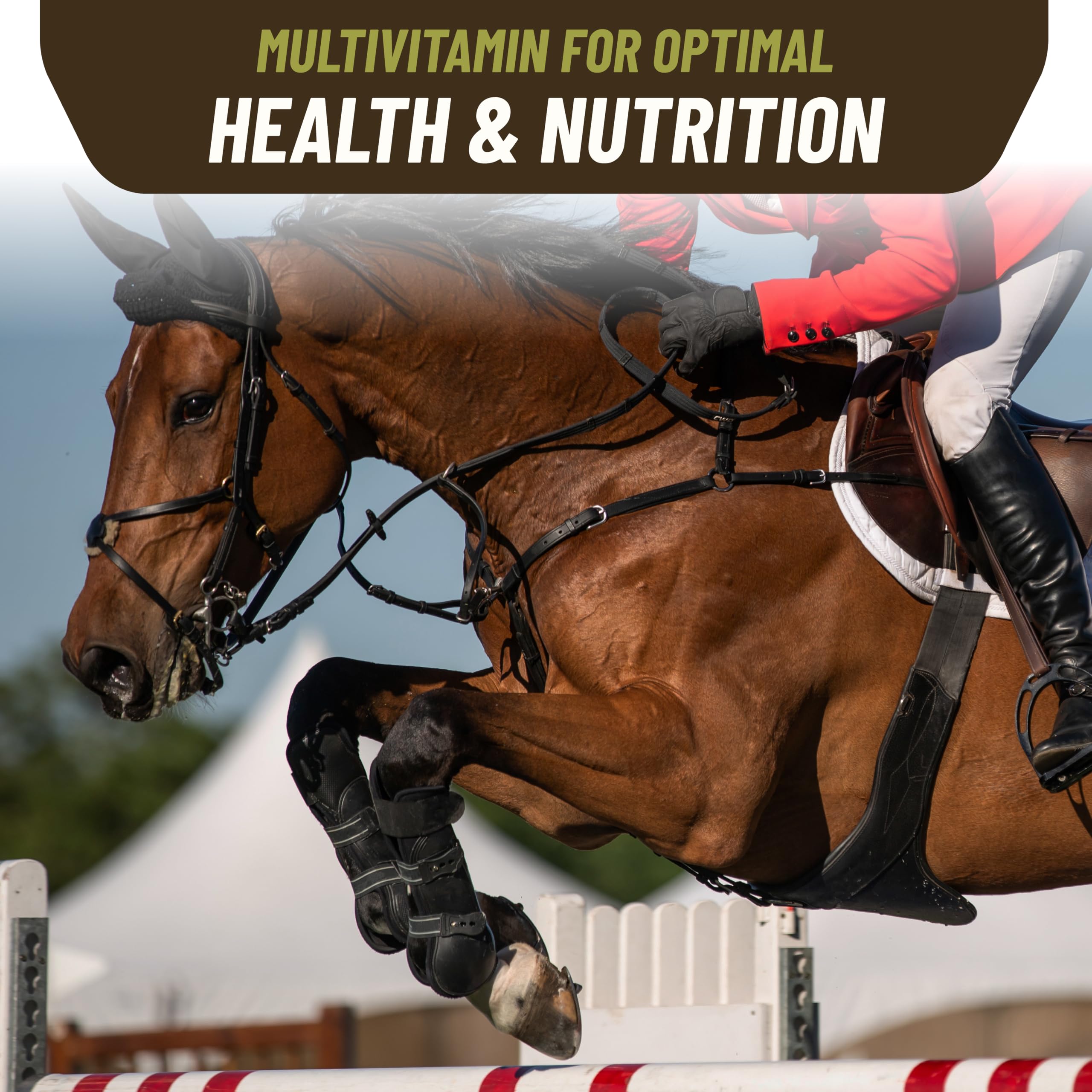 VITA-Rich B-Complex for Horses Iron Horse Supplement 1 Gallon — Amazon image 6