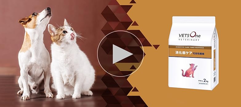 VETS One ベッツワン 消化器ケア 可溶性繊維 2kg ×2袋　猫用 VETS One ベッツワン 消化器ケア 可溶性繊維 2kg ×2袋猫用