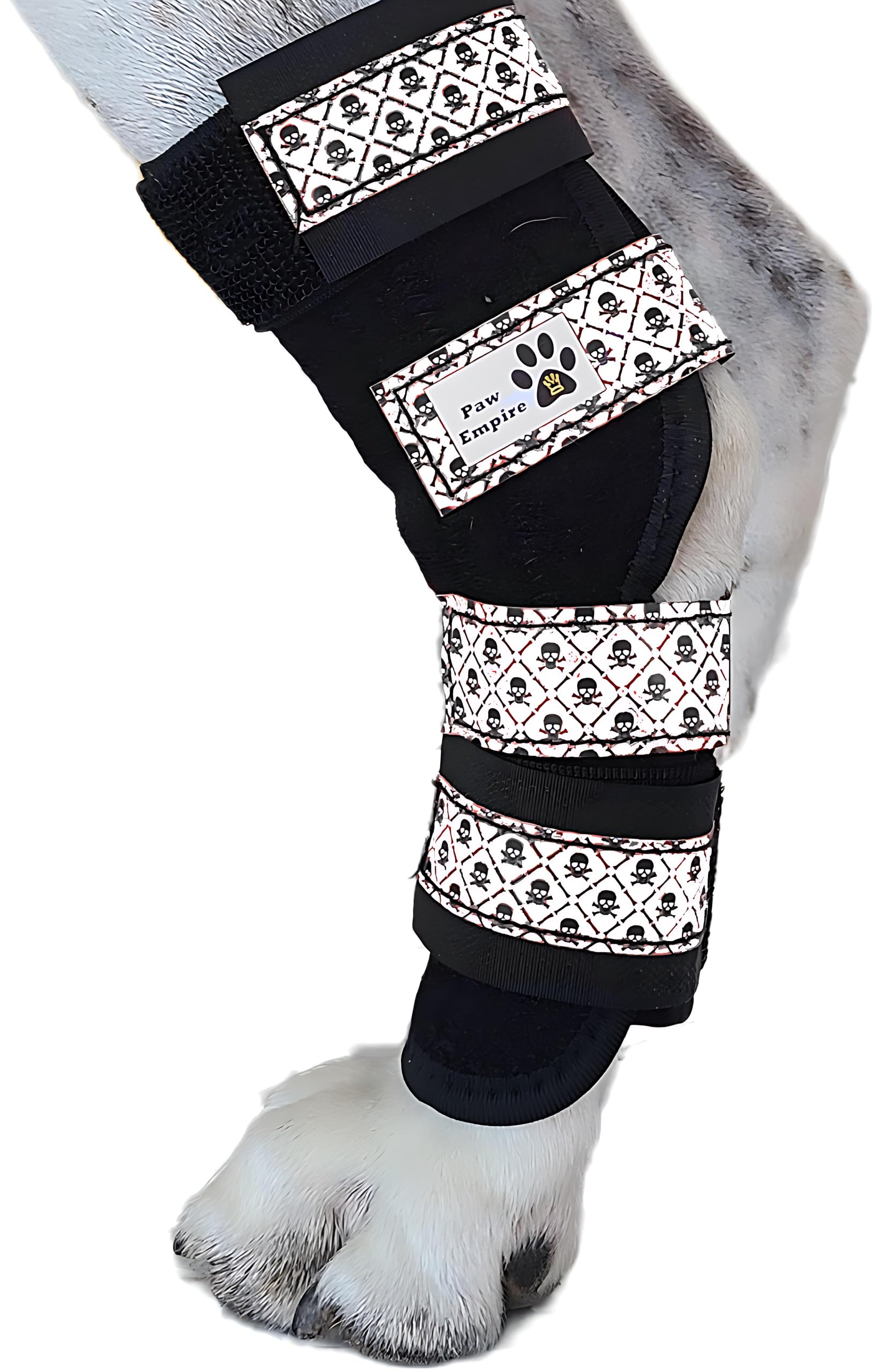 Paw Empire - Pair of Dog Leg Braces, Ultra Supportive, Comfortable, Dual Metal Springs, Hind Leg Wraps, Canine Hock Brace for Joint Arthritis, Assists
