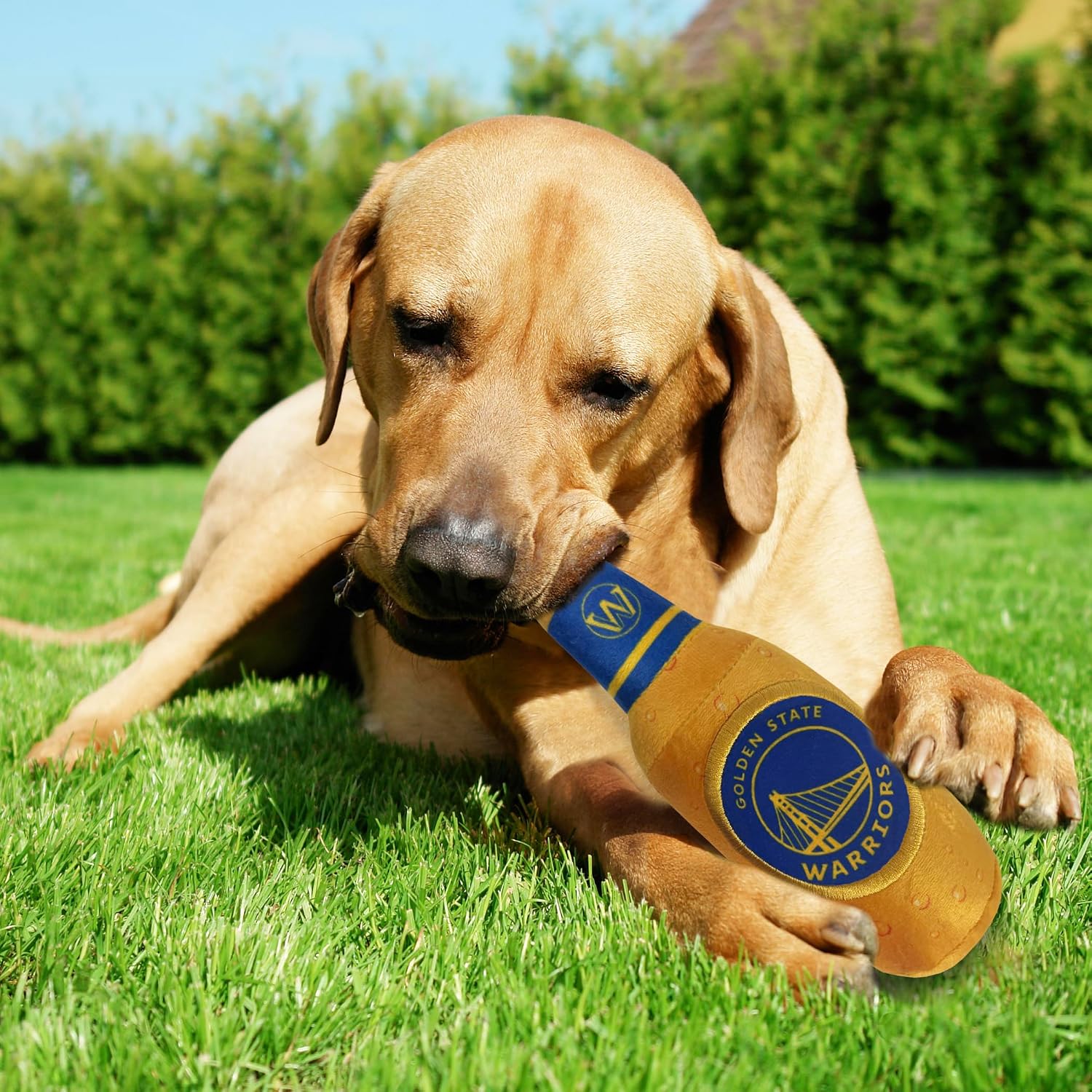 NBA Golden State Warriors Beer Bottle Plush Dog & CAT Squeak Toy - Cutest Stadium SODA Bottle Snack Plush Toy for Dogs & Cats with Inner Squeaker & Beautiful Basketball Team Name/Logo