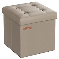 SONGMICS Puof Contenitore da 38 cm, Cassapanca Pieghevole