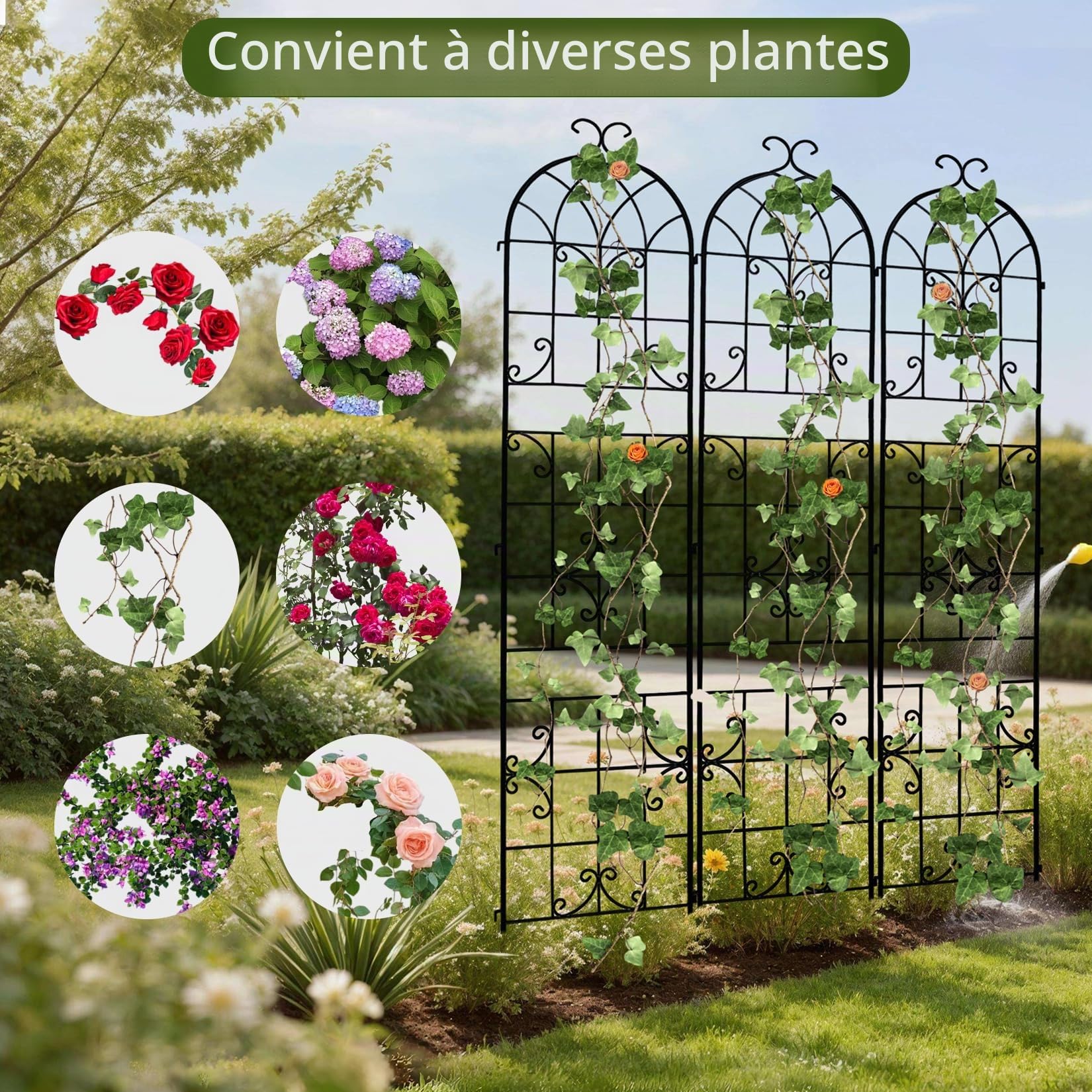 Treillis Plante Grimpante Extérieur en Métal: h220x148lcm Lot de 3 Support Rosier Grimpant Jardin Treillage Fleur en Fer Forge Décoratif
