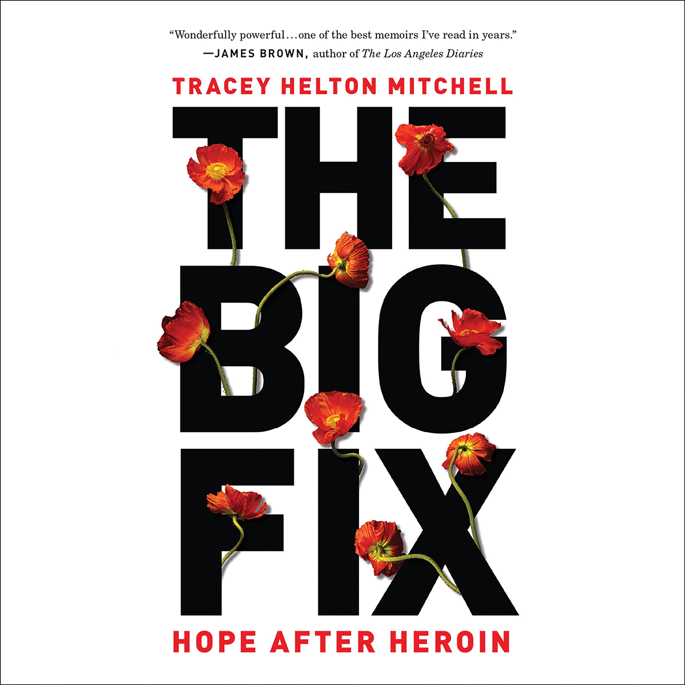 Cover art for The Big Fix