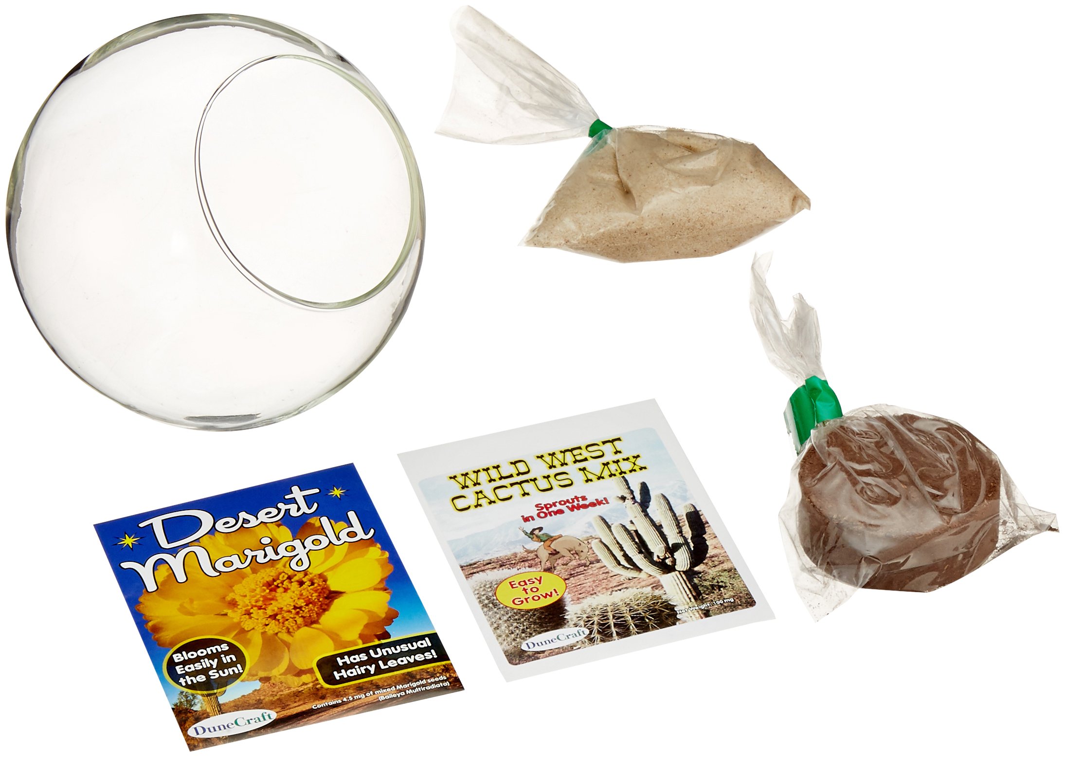 DuneCraftMini Desertscape Science Kit