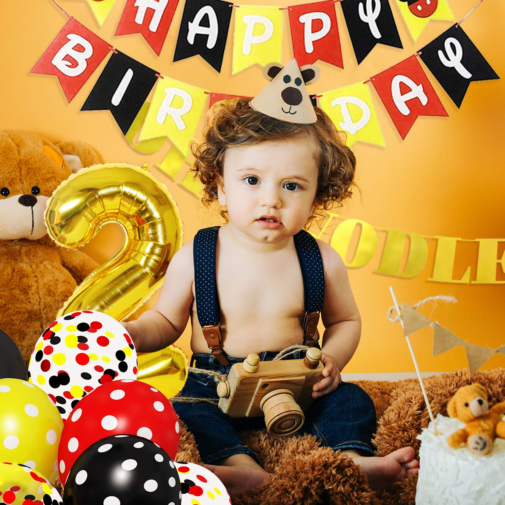 Amandir Oh Twodles Cartoon Mouse 2nd Birthday Party Supplies, Happy