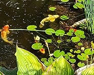 Review Image by jeff foster jeff foster