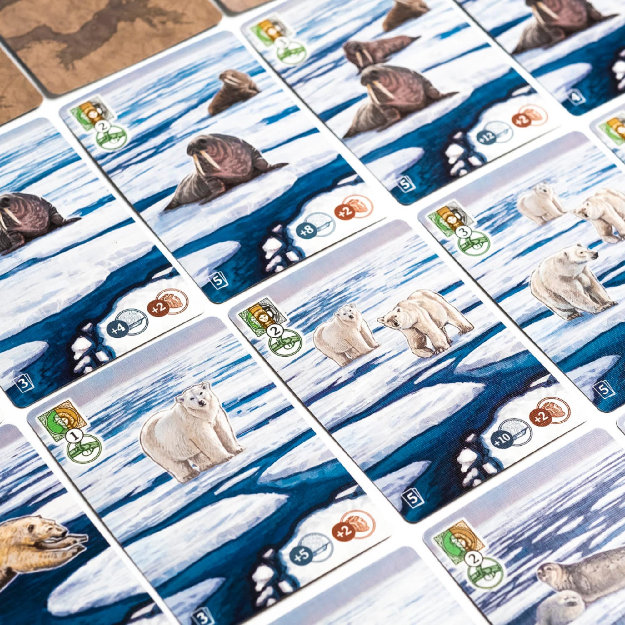 2Tomatoes Games | Through Ice and Snow | Juego de Mesa de Exploración en el Ártico | Estrategia y Aventura | 1-4 Jugadores | +14 | Español, Alemán, Inglés y Francés | Histórico, Lugares, Marítimo