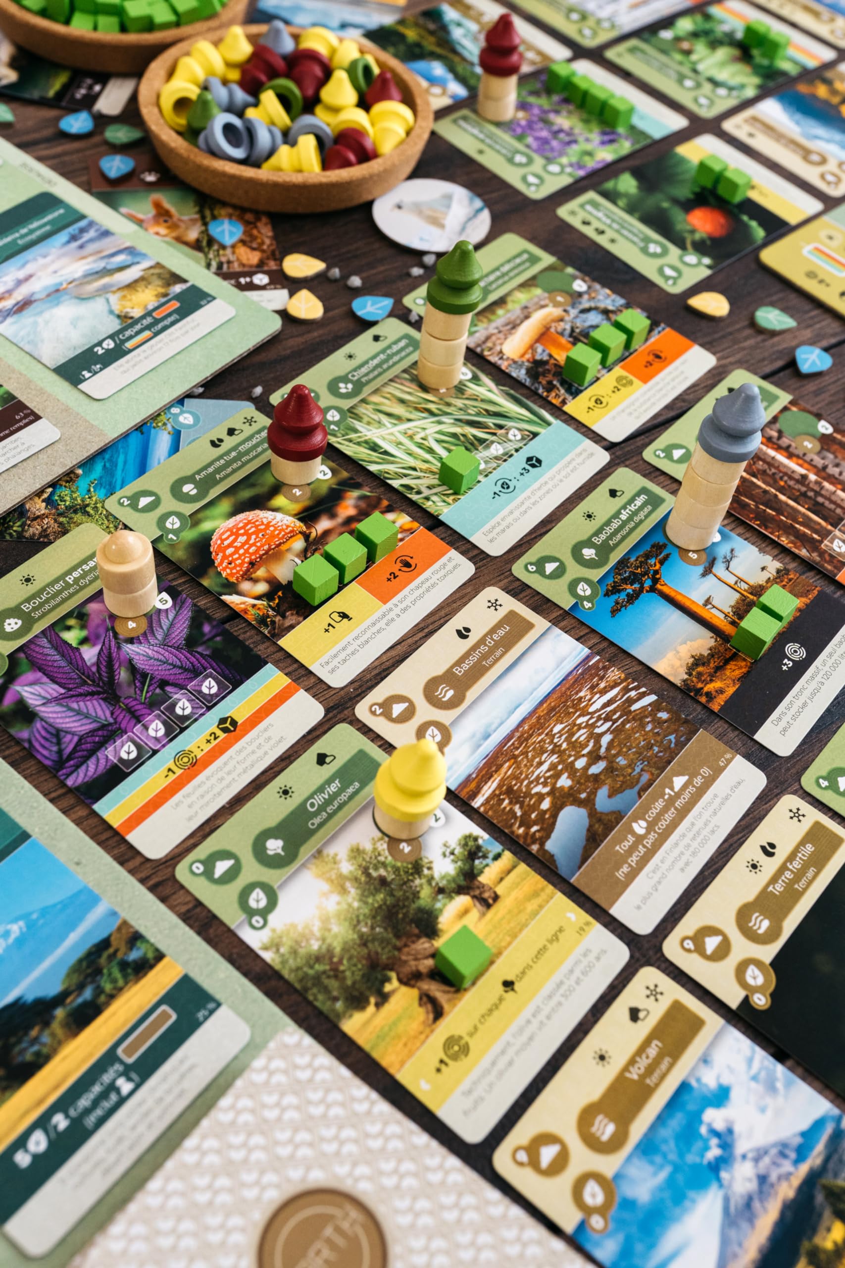 Lucky Duck Games - Ziemia | Wersja francuska | Gra planszowa | Gra planszowa | Od 14 lat | 1 do 5 graczy | 45-90 minut