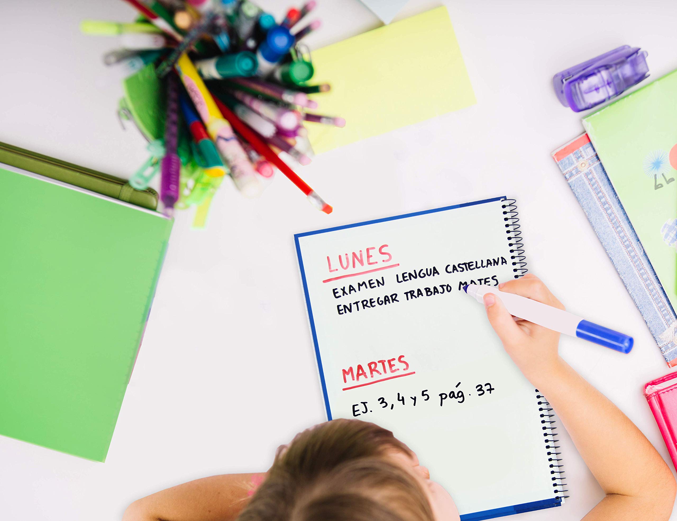 Oxford Paquete 5 Europeanbook 4 Write & Erase School Classic Te A4+ 120H 5X5 Con Scribzee