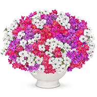 Artificial Flowers for Outdoors UV Resistant, 12 Bundles Realistic Faux Daisy with Eucalyptus Leaves Fake Plants for Porch Patio Planter Garden Decoration (Rose Red White Light Purple)