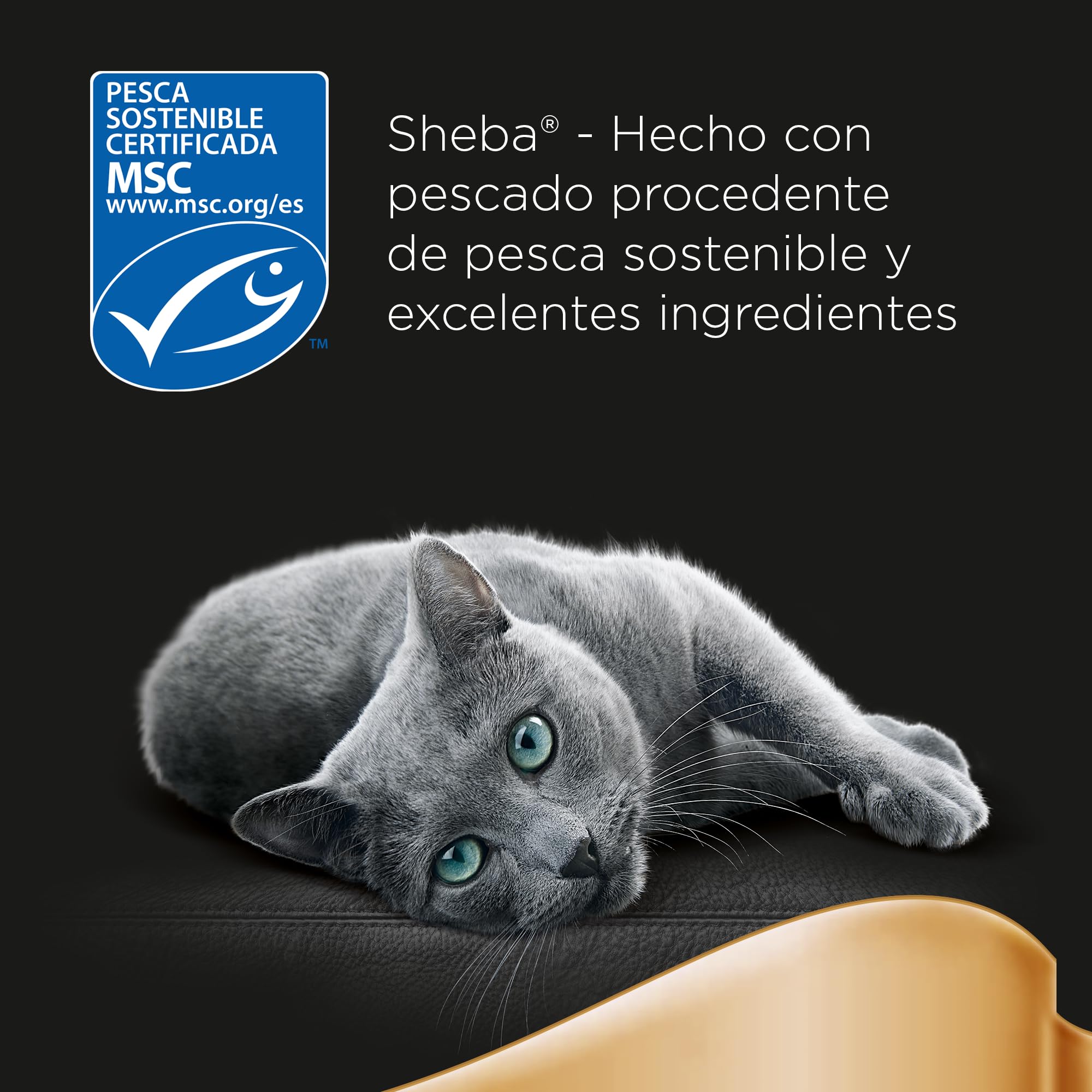 Sheba Délices du Jour Comida húmeda para Gatos, Sabor Pescado, Multipack (Pack de 12 x 6 bolsitas x 50g)