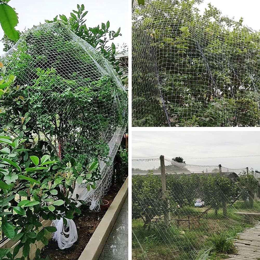 Red de pájaros de alta calidad para jardín y árboles frutales, valla de malla antipájaros para plantas, duradera y translúcida (2,5 cm, 7 m x 10 m), protege tu jardín de los pájaros