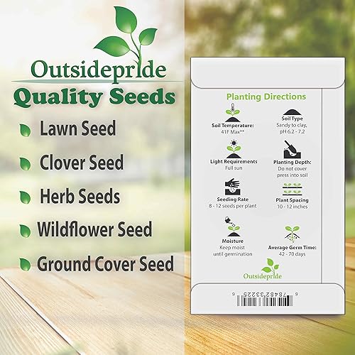 Miniatura 7 de Outsidepride Perennial Antennaria Pussytoes Plantas de cobertura del suelo rojas, extendidas y de bajo crecimiento, 1000 semillas