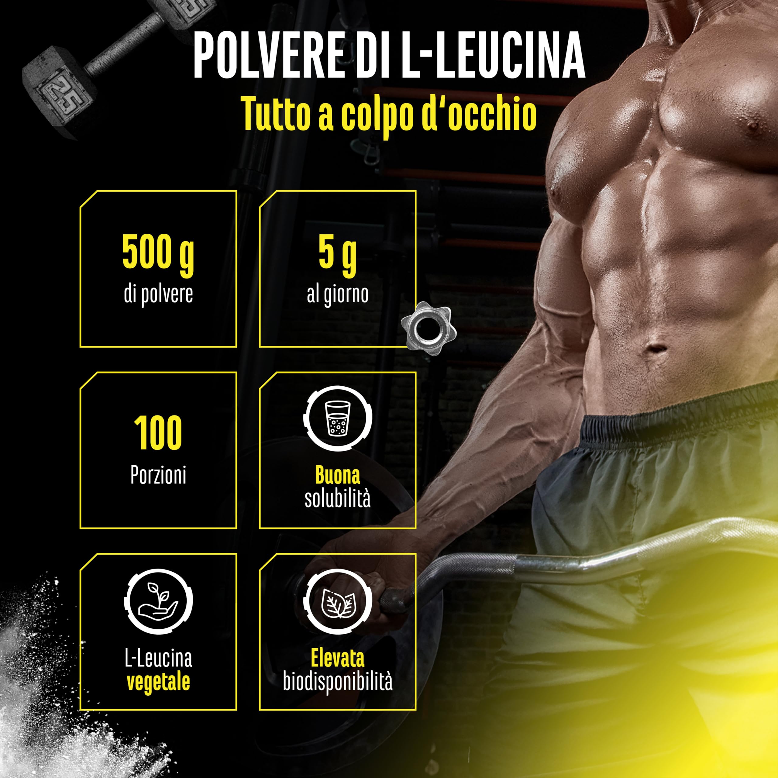 Leucina - 500 g di polvere - Elevata purezza - Materia prima premium: L-leucina naturale fermentata - Aminoacido - Senza additivi indesiderati, vegan
