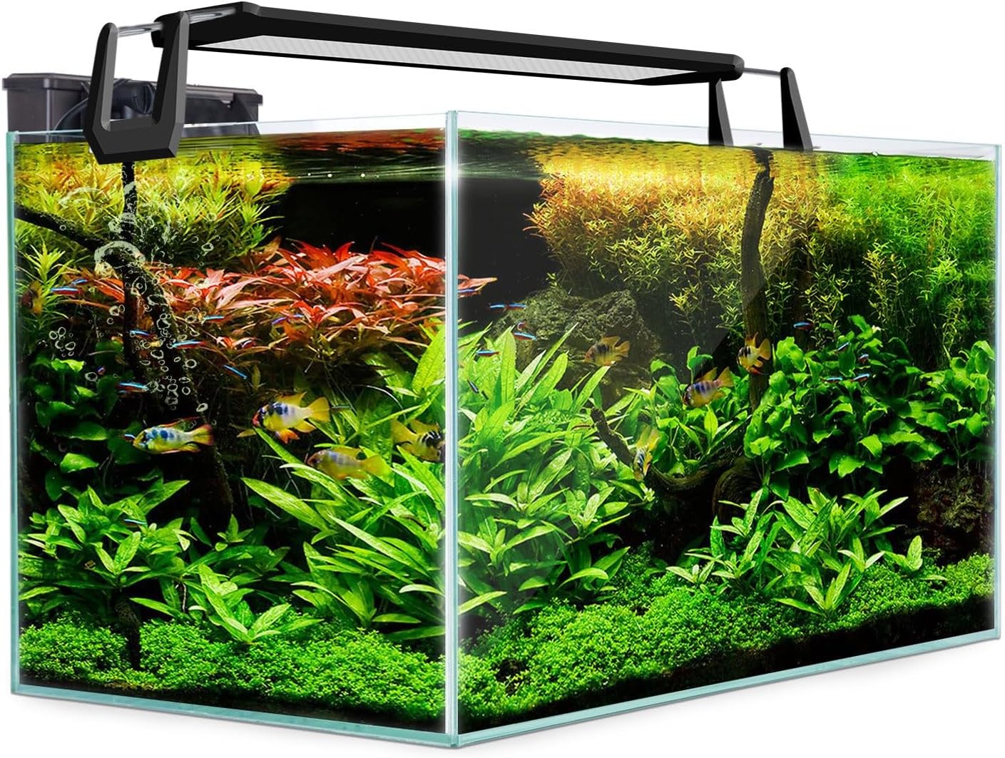 Dynamic Power 70L Starfire Glass Aquarium Fish Tank – Ultra Clear 6mm ...