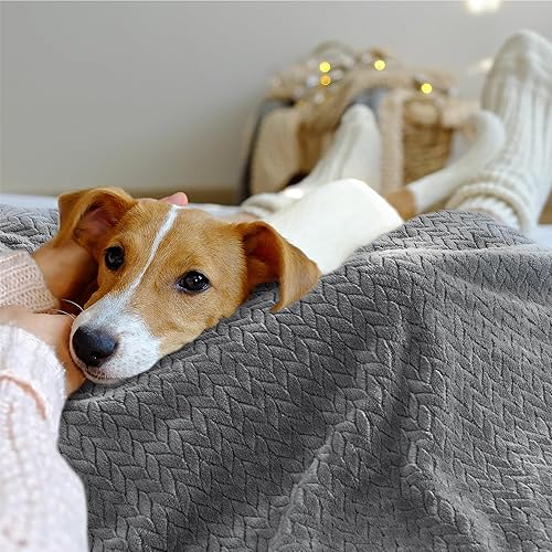 Miniatura 4 de Manta de forro polar tamaño Queen  Manta ligera con patrón de hojas para cama durante todas las estaciones, gris, 90 x 90 pulgadas