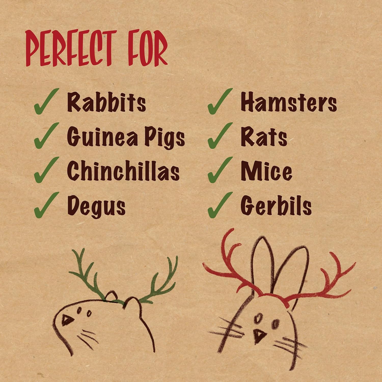 Naturals Christmas Festive Fruit Tree Hanging Edible Treat