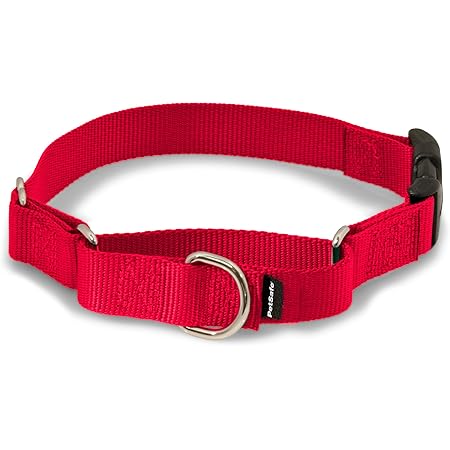 Martingale clip collar Clearance