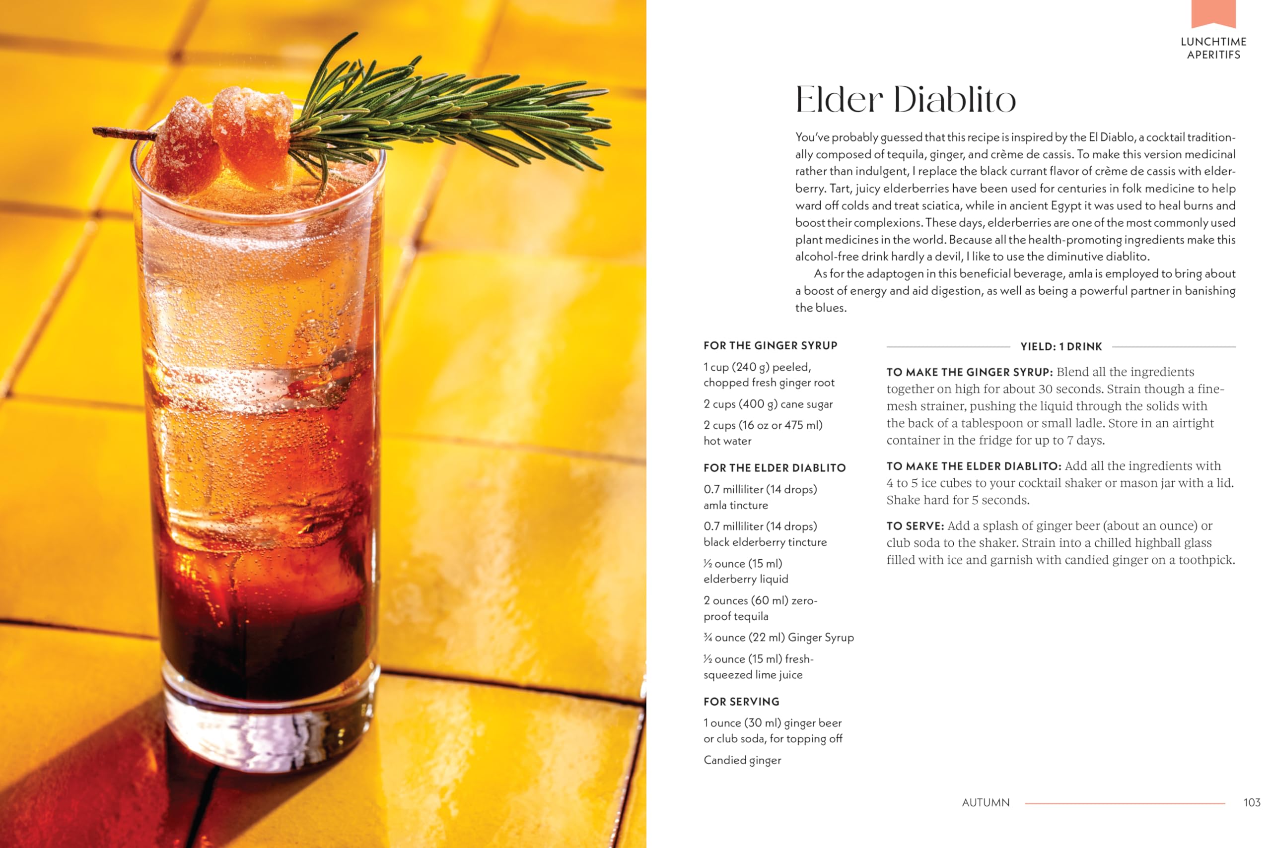 Drink Up and Glow: Non-Alcoholic, Adaptogen-Infused Drinks for Optimal Wellness, Energy, and Stress Relief