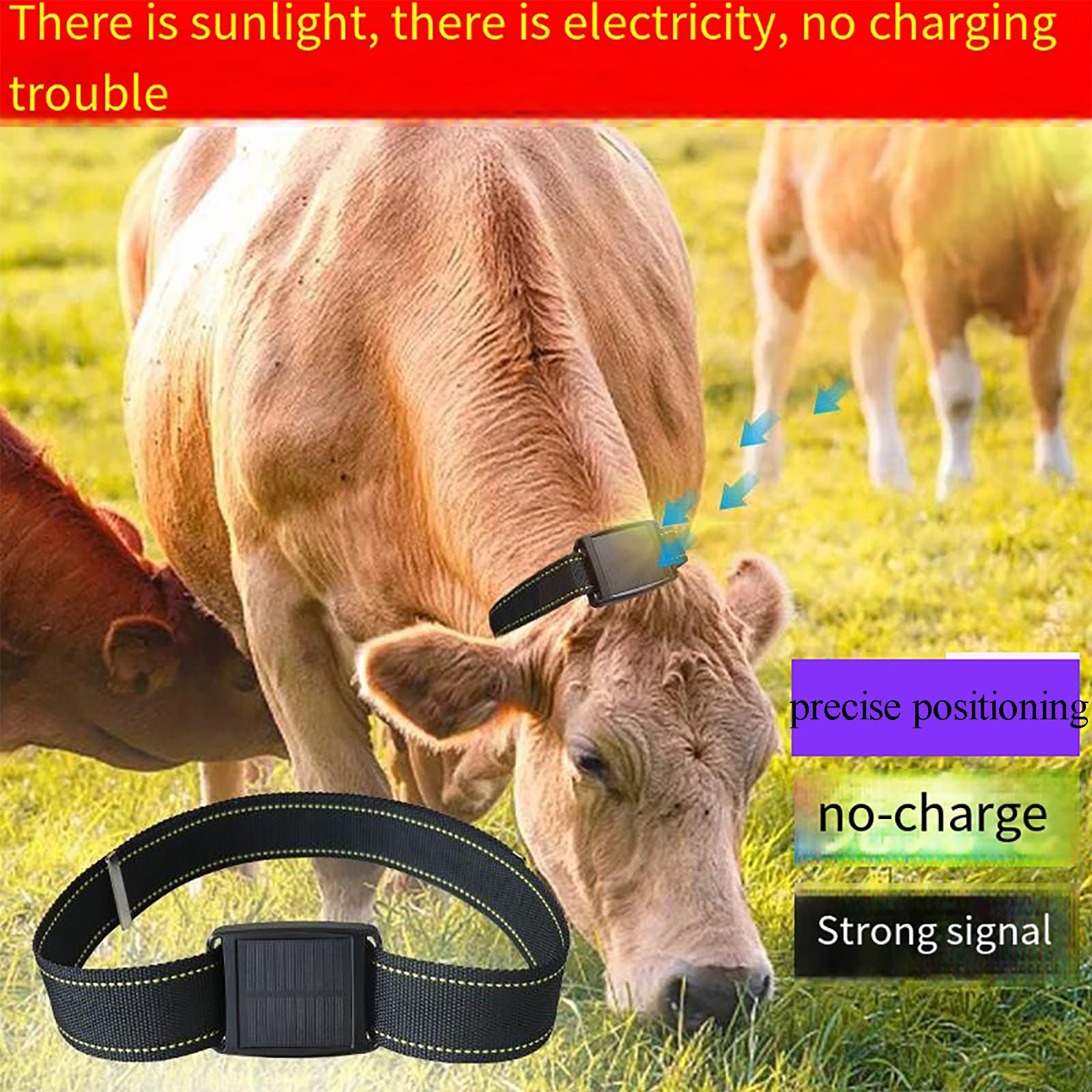 Rastreador GPS Para Animales, Localizador Solar Animales, Distancia: 2-10 M/posicionamiento Tiempo Real/impermeable/2 Métodos Carga/2 Métodos Alarma/energía Solar, Utilizado Para Rastrear Ganado